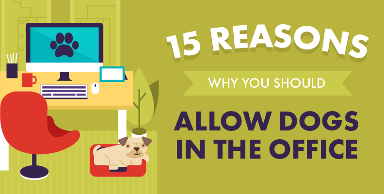 15 Reasons Why You Should Allow Dogs in the Office